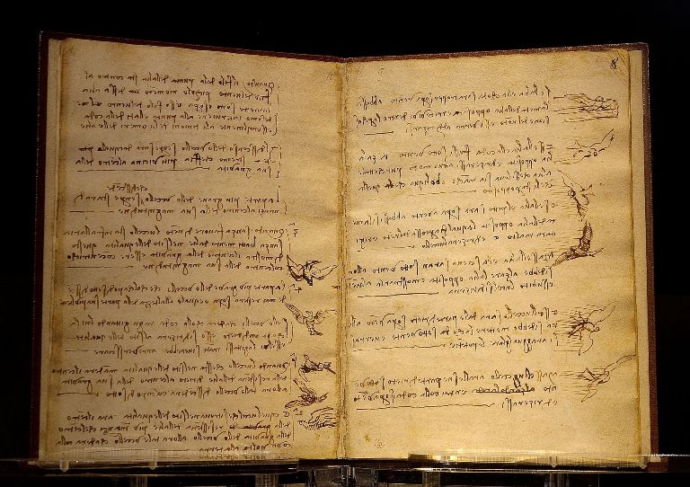 Leonardo Codex Vogel