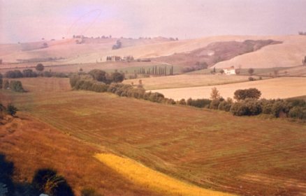 Toscana 82