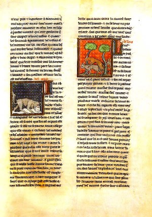 L'arte Medievale In Italia Romanini Pdf 11