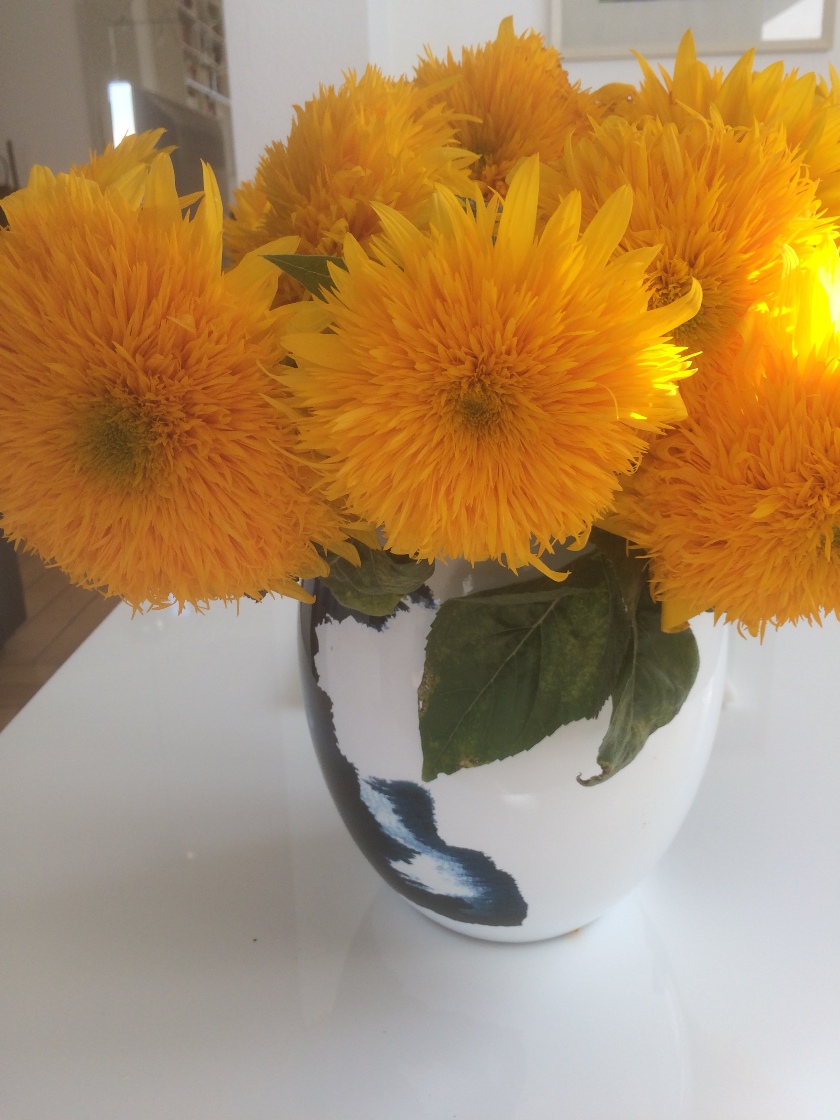 Sonnenblumen1