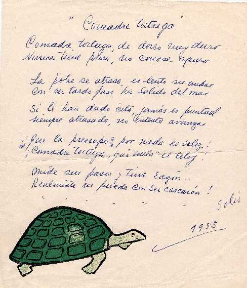 comadre tortuga